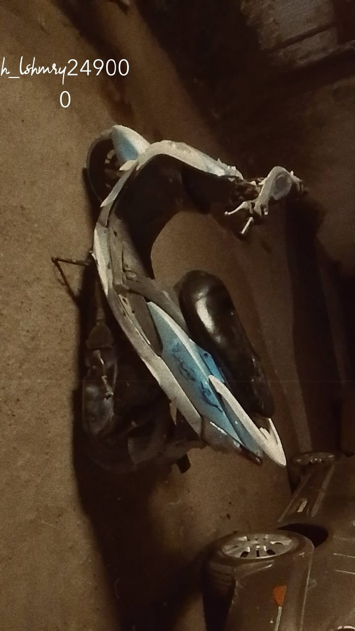 ماكس منغولي شغاله نكره سلف سعره 250


**إذا كنت صاحب هذا الإعلان وتريد حذفه لأي سبب، رجاءا أرسل رسالة إلى الدعم الفني**