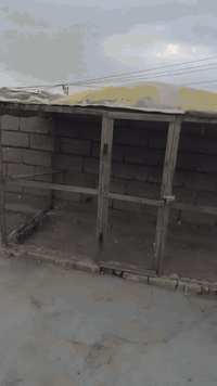 سلام عليكم غراض للبيع متستعملات نضيفات مكاني مجر لكبير استفسار على رقم ***********
