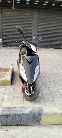 ثعلب نوزل • كفالة عامة • بغداد العبيدي