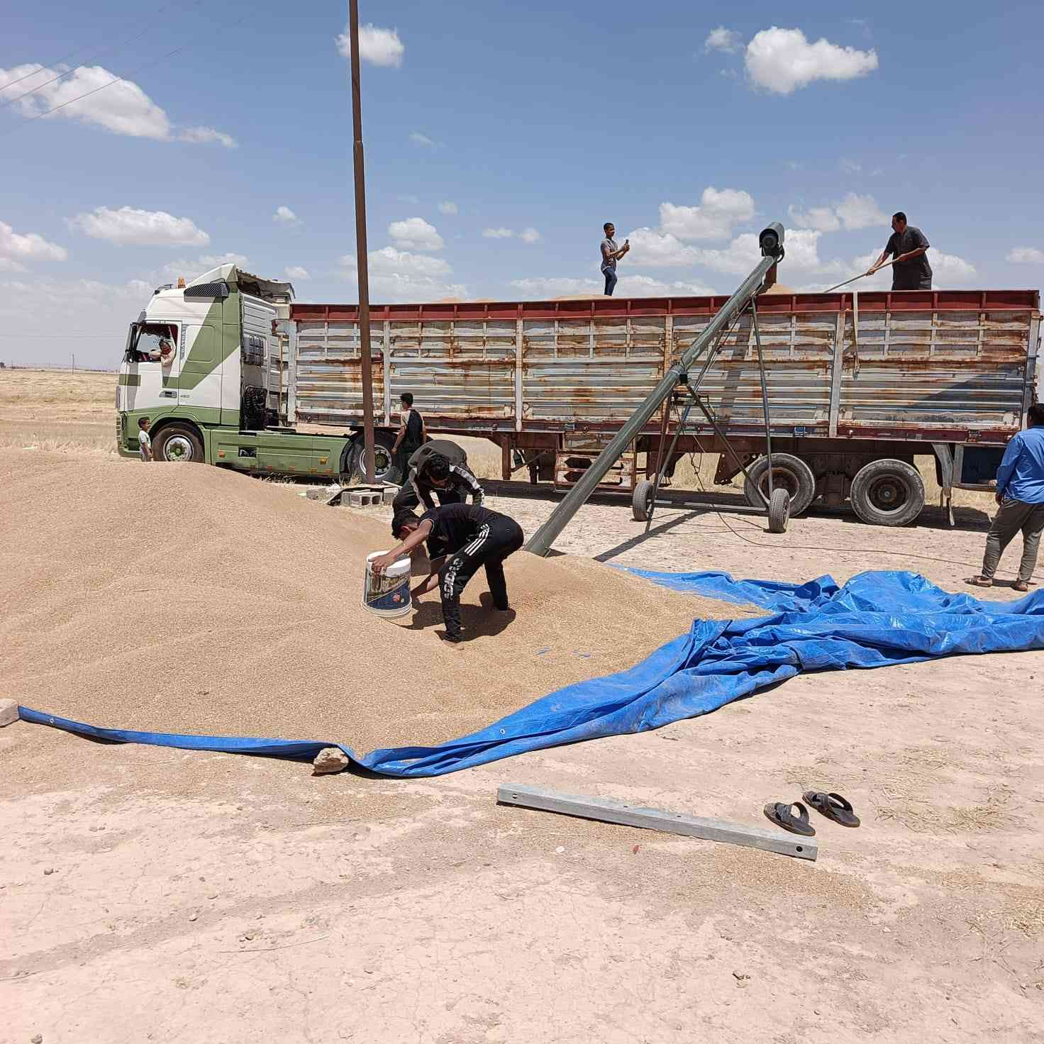 يوجد برينه تحميل حنطه   متواجدين من الناعمه حمرين   تا كصيبه معيبدي ادور العلم   للفتحه على مدار 24ساعه للاتصل ***********
