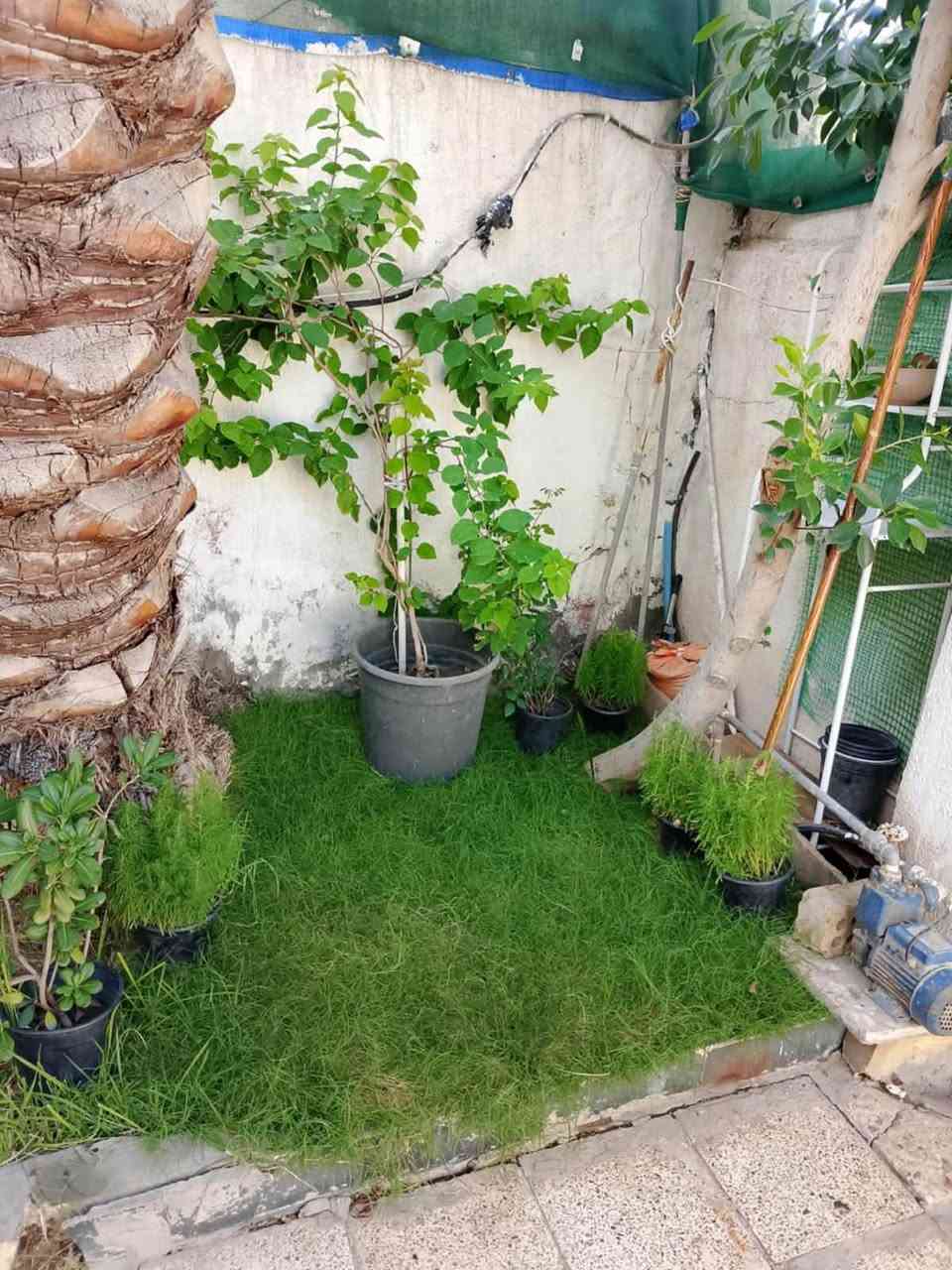 دار للبيع 
المساحه 80 م
الوجه 4 نزال 20 
يحتوي على طرمه 
وصاله ومطبخ 
وخدمات 
وغرفتين نوم 🛌 
العنوان الشرطة الخامسة  قرب شارع الساعدي
الاستفسار ***********
