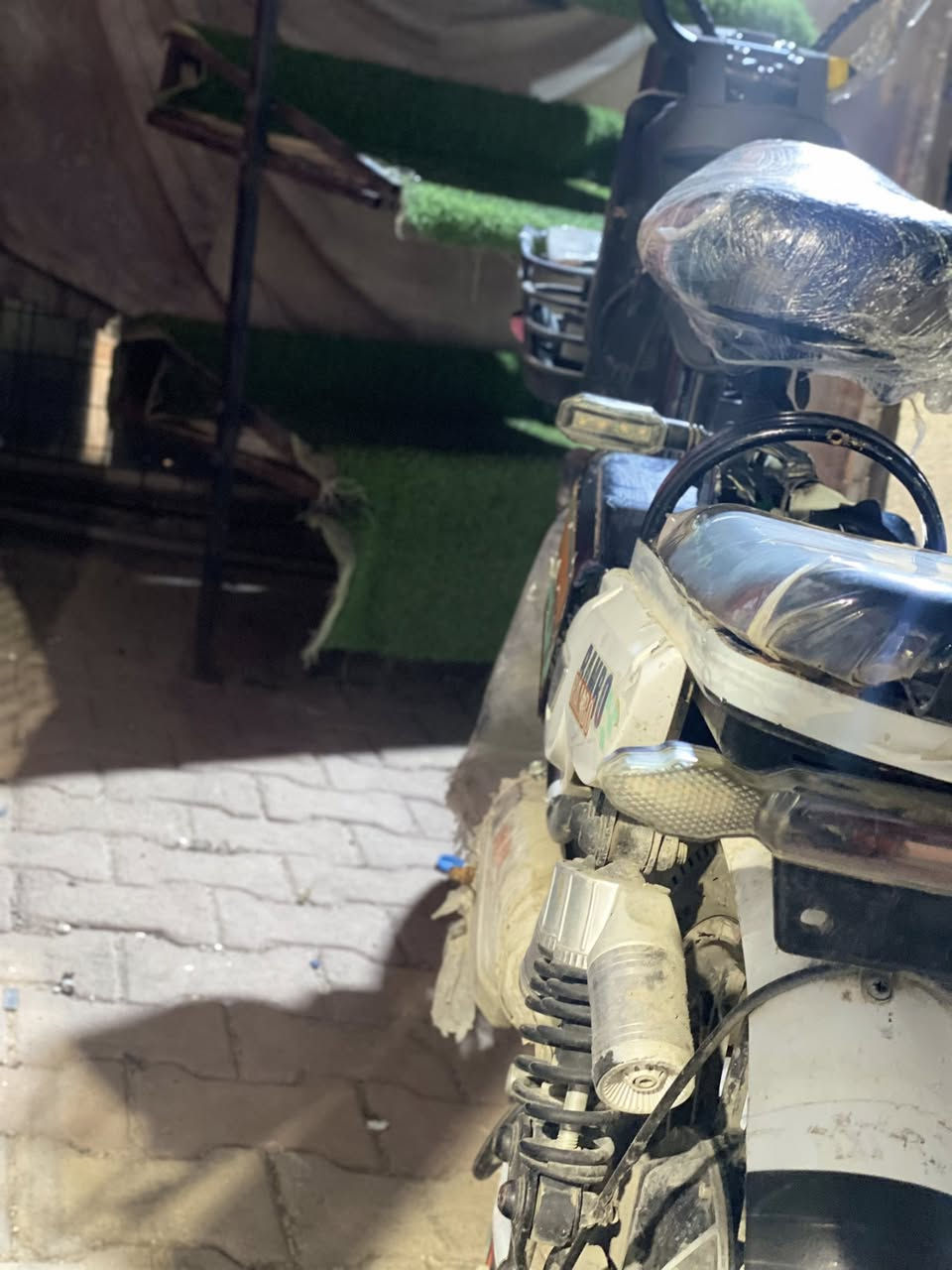 دراجه شحن للبيع السعر١٥٠الف لو اراوسه ويه مأطور ناري


**إذا كنت صاحب هذا الإعلان وتريد حذفه لأي سبب، رجاءا أرسل رسالة إلى الدعم الفني**