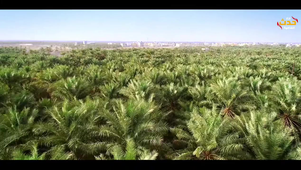 🔥 مطعم شوميا التراثي 🔥
بإدارة: محمد شعلان
إذا تدور على الأكل الأصيل والطعم العراقي الحقيقي… فمكانك هنا 😍
📍 العنوان: قضاء الشامية – مجاور الملعب السباعي
👨‍👩‍👧‍👦 يتوفر مكان خاص بالعوائل
🚚 توصيل مجاني إلى جميع مناطق الشامية
🕙 أوقات الدوام:
من الساعة 10 صباحاً
إلى الساعة 12 ليلاً
🍽️ منيو يرضي كل الأذواق:
مندي لحم 🍖
مندي سمك 🐟
مندي دجاج 🍗
قابلي لحم ودجاج 🍛
سمج مسكوف على الحطب 🔥
سمج قلي 🐟
أجنحة على التمن 🍗🍚
قوزي لحم 🐑
تشريب دجاج 🍲
تمن ومرق 🍲🍚
📞 للتوصيل: ***********
📞 للحجز: ***********
✨ شوميا التراثي… نكهة الماضي، بطعم يخلّيكم ترجعون كل يوم ✨
