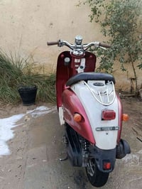 عبد الحليم • كلاسكگ • كهربائيات شغالة