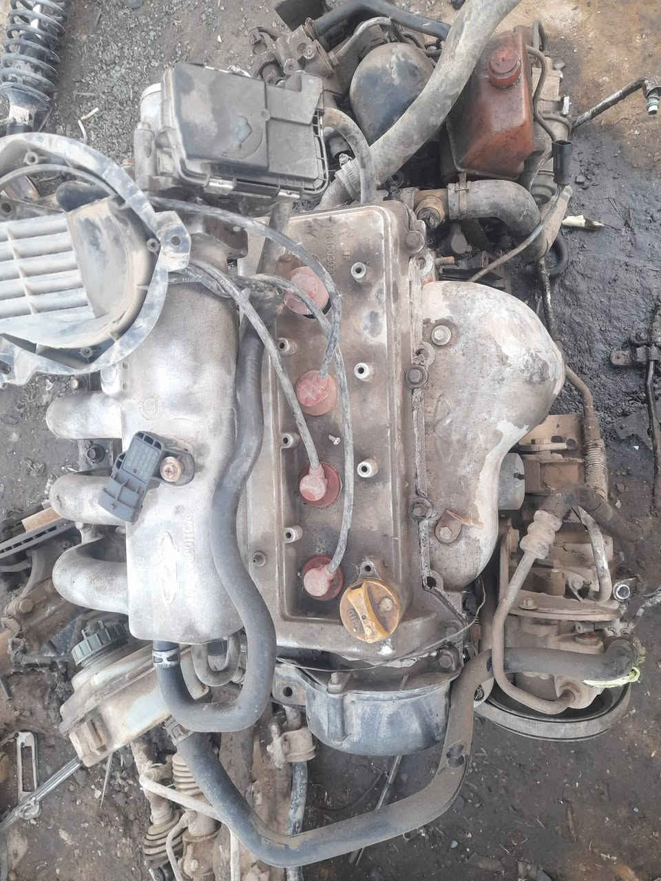 يا الله سلام عليكم من رخصت لدمن المحترم خوان مكينة ليفان ٦٢٠ ومكينة ليفان ٥٢٠ ومكينة كيو كيو ومكينة برنس شرط شغل ضمان ٧يام كثر ستفسار تصل علي رقم ***********تصال فقط ما متواجد علي فيس
