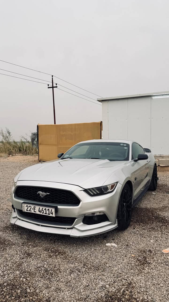 اعادة النشر بسبب الوعود الكاذبه ❌❌
السلام عليكم انظف موستنك ايكو 2016 بريميوم(فول مواصفات) السعر 135) 💯💯
كير محرك تبريد صدر كهربائيات كله كفالة 
المواصفات 
تدفئه وتبريد كشنات 
كشنات جلد 
رادار خلفي جانبي 
أناره زينون 
كشن ميموري كهرباء جلد 
كير اوتماتيك 
مودات قيادة و ستيرن 
أناره 7 ألوان دشبول و أرضيات 
شاشة كبيره 
رقم أربيل هزه و سنويه باسمي تريد تحويل تريد وكاله 
(الضرر)
ثلاث قطع معجنات وعلى حالتهن بدون دواخل وبدون شواصي كفاله 
السياره  رقمها أربيل كير  محرك مكفول تحويل ثاني يوم باسمي سياره 
مابيها اي نواقص من ناحية كير محرك كهربائيات 
مكاني الانبار الدوره السعر ***********
