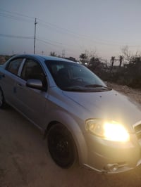 افيو • ٢٠٠٨ • طخه