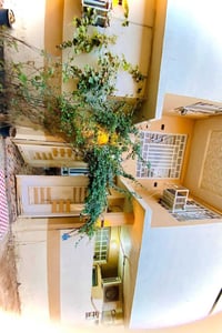 كربلاء باب طويريج • ١٠٠م • طابو زراعي