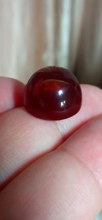 يمانيه حمره • عرگ زعفران • خامه صعبه