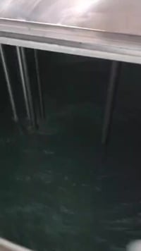 تركيب وتشغيل • مصنع آيس كريم • تدريب