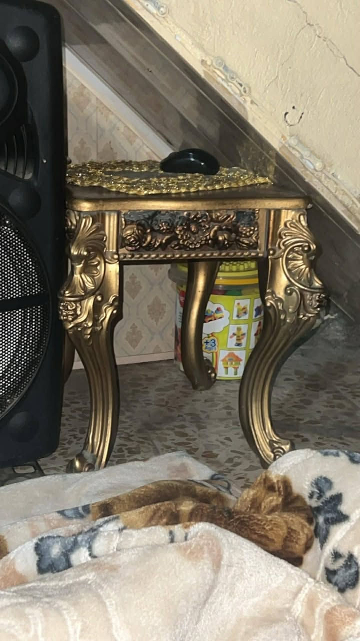 للبيع تخم 10 مقاعد مع طبلات 4 صغار وحده جبيرة
السعر 650 قفل العنوان بغداد العلاوي شارع حيفا


**إذا كنت صاحب هذا الإعلان وتريد حذفه لأي سبب، رجاءا أرسل رسالة إلى الدعم الفني**