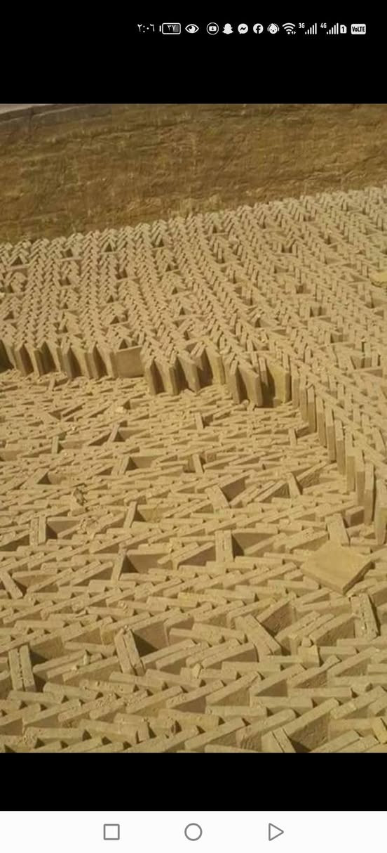 يوجد فرشي خضراوي درجه اولى وأصل جميع المحافظات الاستفسار *********** بأسعار مناسبه *********** كربلاء المقدسة جمله ومفرد سعر ٢٦٠ وأصل
