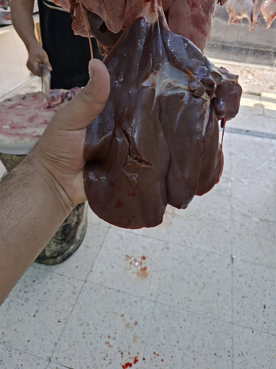 عرض خاص من قصابيه أركان الهدى  
معلاك غنم درجه اولى تك 13الف زوج 25الف 
متوفر كميات للاتصال ***********
الواتساب ***********
عنونا كربلاء حي النقيب شارع النهر
