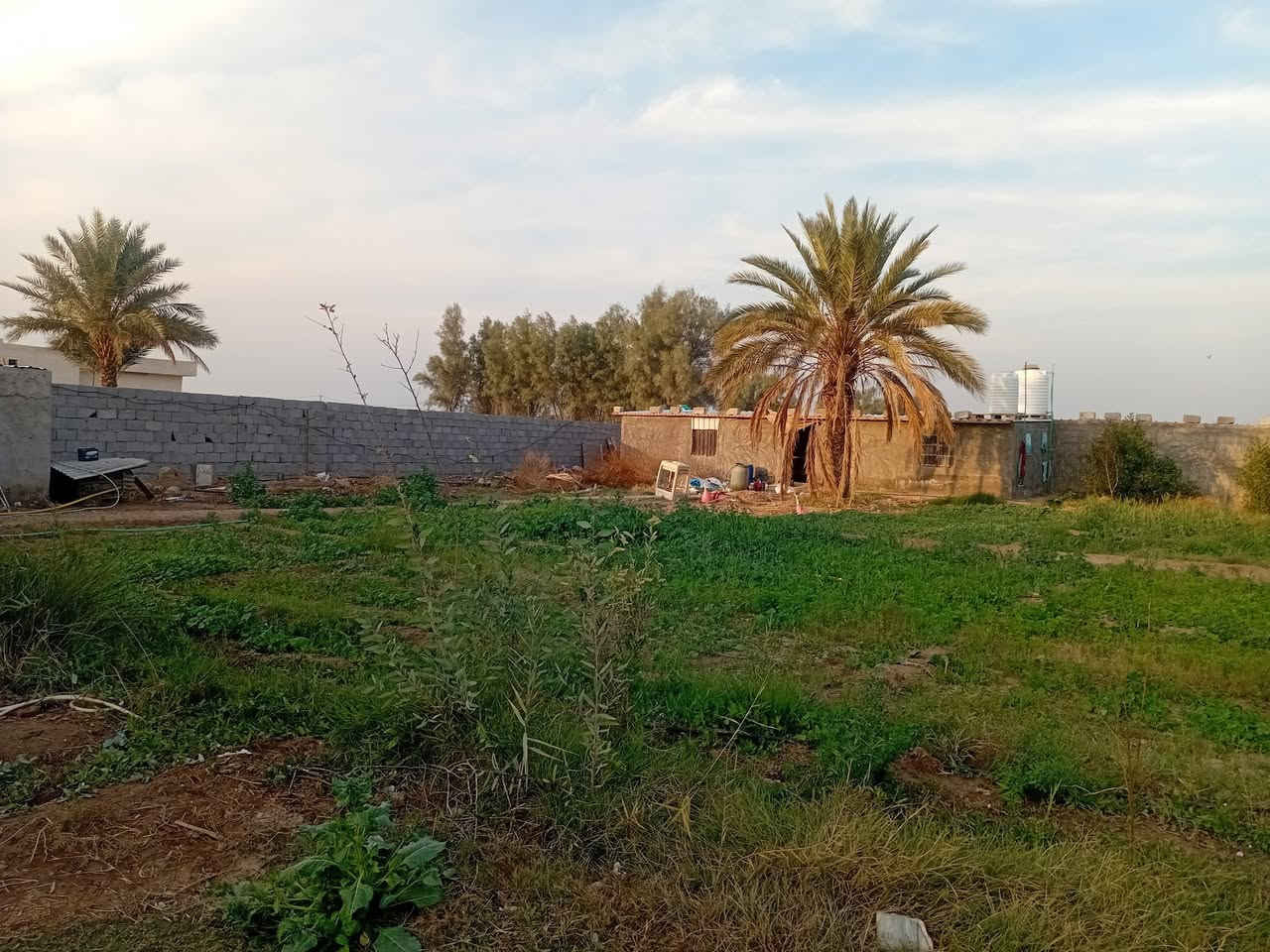 دونم سياحي استثماري في اليوسفيةبيرالحمام فيةثلاث حقول دواجن ثنين جاهزات وواحد بدون سقف مع دار ٩٠ متر كامل مع غرفةمولدات ومنضومة طاقة شمسية١٠ امبير مع كهرباءثري فيز مع ماء اسالة وبجانب ساجية السعر ب١١٠ وبيةمجال اتصل***********ابوعبداللة واتساب
