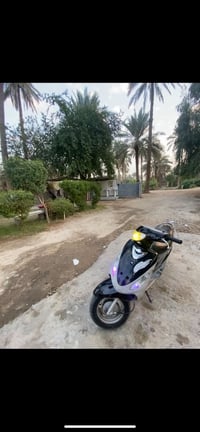 ماكس منغولي للبيع السعر خاص والاتصال 07735030415