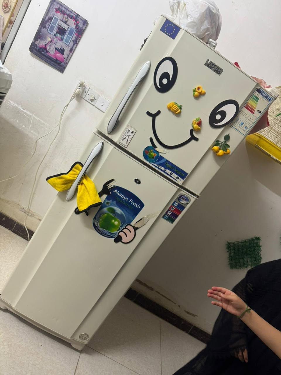 لبيع ثلاجه فصتل+مجمدةحجم صغيرهيتاشي ليريدهن يطب خاص


**إذا كنت صاحب هذا الإعلان وتريد حذفه لأي سبب، رجاءا أرسل رسالة إلى الدعم الفني**