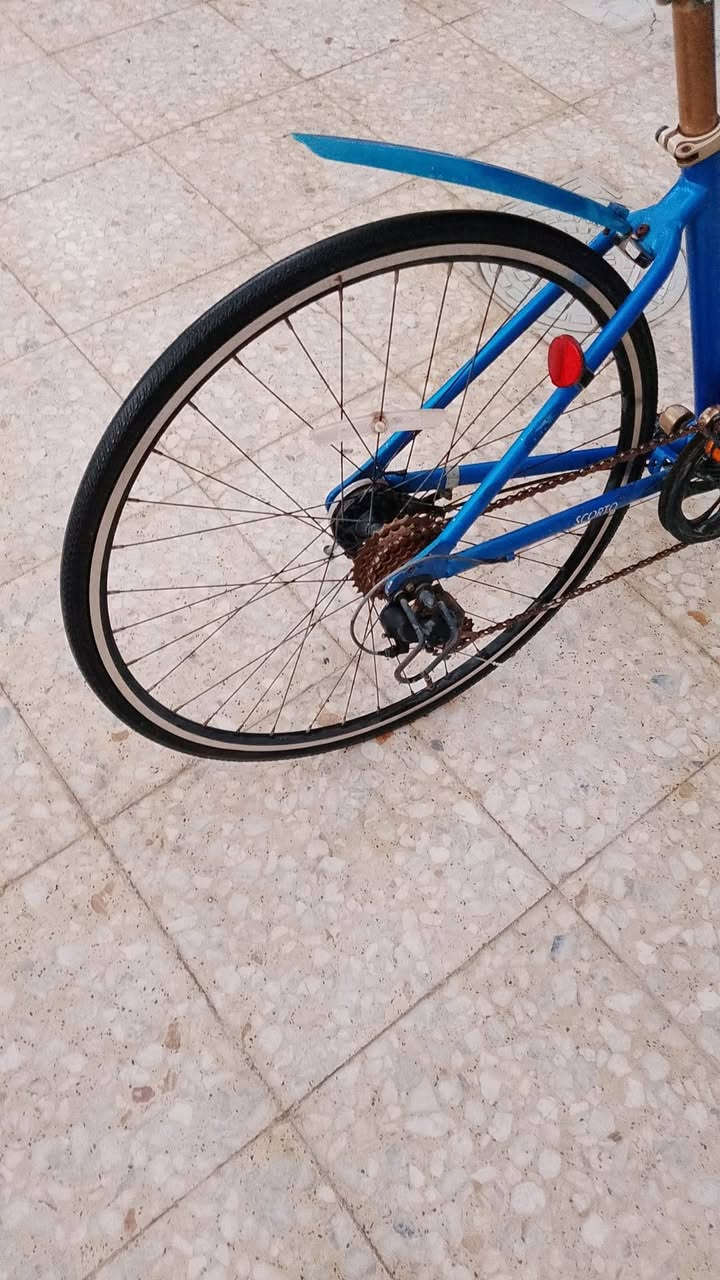 السلام عليكم بايسكل جبلي للبيع بايسكل نظيف سعر 85 وبي مجال مكاني كربلاء حي العامل *********** بس واتساب بي خاص مفتوح 🌹
