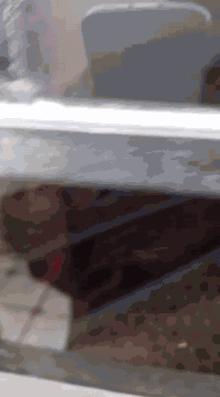 مجمع الرحمان بيت للبيع على شارع عرضة ٢٠متر السعر ١٢٥ ..تفاصيل البيت دخل فديو ..***********      ***********
