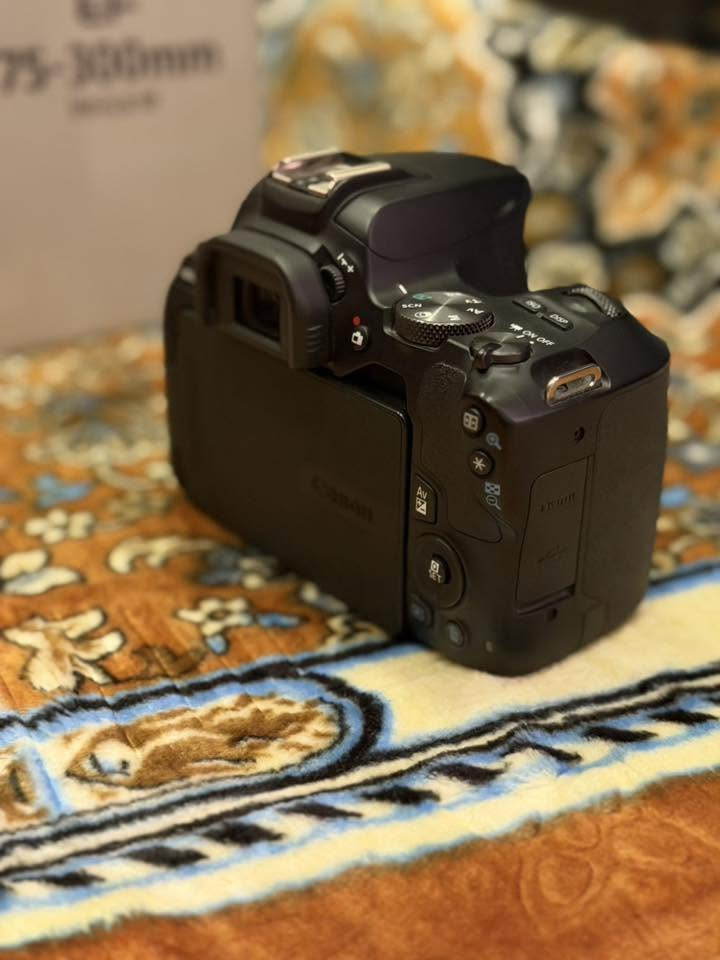 السلام عليكم ورحمة الله وبركاته 
كامرة كانون EOS 250D
مع الملحقات 

عدسة كانون EF 75-300mm

عدسة كانون EFS 18-55mm 

عدسة كانون 50mm

جاهز كاترير للإضاءة الخارجية

مع البطارية والشاحنة والرام وتحويلة سحب الصور من الرام  

النضافة من ٩٩ إلى ١٠٠ وضمان مابيه اي شخط جدا حدا نضيفة واستخدام شخصي قليل جدا 

السعر ٨٢٥ وبي مجال بسيط 

للتواصل والاستفسار ***********
متوفر واتساب 
المكان بغداد

