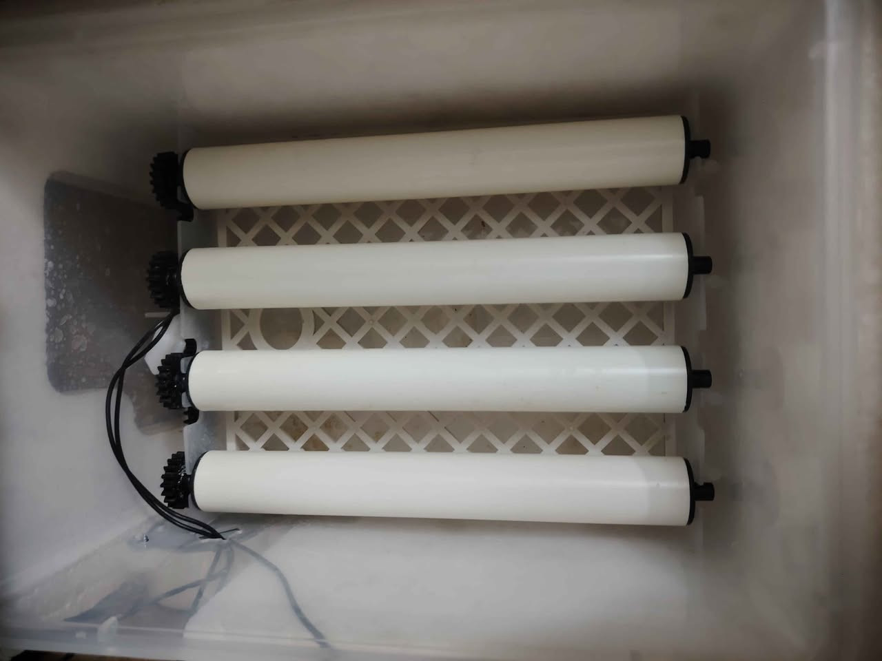 فقاسة بيض للبيع تشيل ١٢ بيضة مال دجاج واذا مال سمان ٢٠ بيضة واذا فسيفس ٩ بيضات
مستخدمها بس مرتين شغالة بعدها جديدة و غراضها كاملة وياها هدية بطارية كبيرة تشغل ساعة اذا ماكو كهرباء مع شاحنة للبطارية
السعر ب٦٥ الف
مكاني نجف حي العسكري 
عندي توصيل داخل النجف و الكوفة فقط اذا انت من خارج النجف تعال لأي مكان داخل النجف واني اجيبها الك النجف, العراق


**إذا كنت صاحب هذا الإعلان وتريد حذفه لأي سبب، رجاءا أرسل رسالة إلى الدعم الفني**