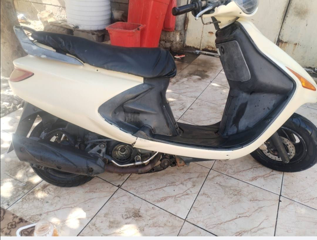 فراشه فحله البيع كفرات  بلاديه حلوه نضيفا  سعر٢٥٠ مكان بابل هاشميه ***********
