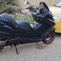 فورزا • اوتوماتيك • زنون