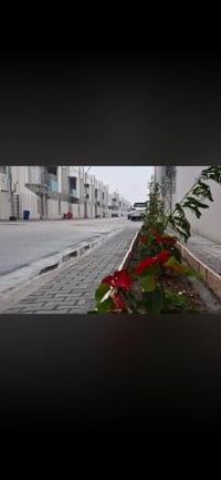 فرصة استثمارية • ماجر • ٣٠٠م