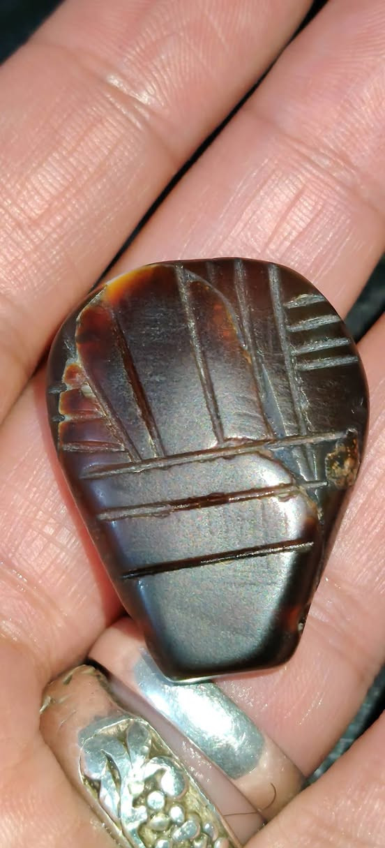 يماني قديم حجم راهي توصيل لجميع محافظات العراق


**إذا كنت صاحب هذا الإعلان وتريد حذفه لأي سبب، رجاءا أرسل رسالة إلى الدعم الفني**