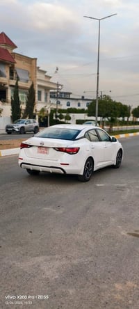 مواصفات SV • بدون صبغ • ورقة