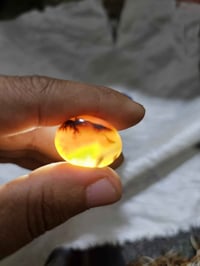 عقيق يماني • كرزي • جملة وتجزئة