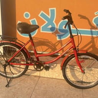 باسكيل صيني • حجم 20 • نظيف