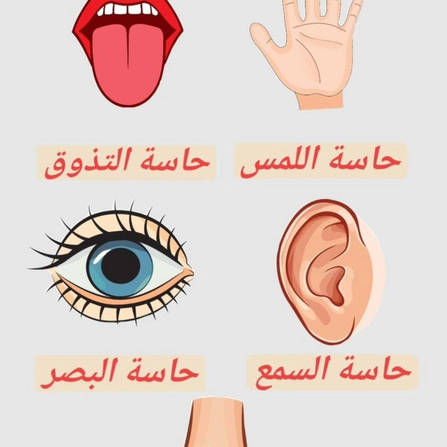 على 500


**إذا كنت صاحب هذا الإعلان وتريد حذفه لأي سبب، رجاءا أرسل رسالة إلى الدعم الفني**
