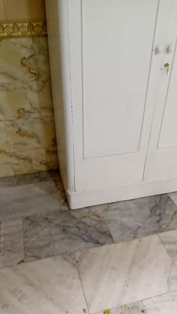 غرفه ٥ باب خشب مصبوغه لون ابيض صاج ٤٥٠ الف اتصال او واتساب***********
