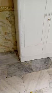 غرفه ٥ باب خشب مصبوغه لون ابيض صاج ٤٥٠ الف اتصال او واتساب٠٧٧٠٥٥٨٧٧٤٥