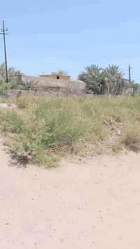 بستان 2دونم سند 25طابو تحويل باسم المشتري مع دار مع حقل دواجن الواجهه 26 والنزال 220 
تقع على شارعين بلوجه اروائي وتبليط وبلظهر شارع وبزل مي صدر التفاصيل داخل الفديو
الموقع الراشديه السوامره قرب مزرعة النخيل ***********
*********** ابو احمد
