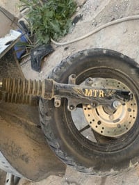 سكنس • صيني • تفصيخ