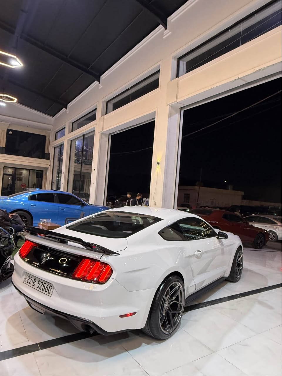 السلام عليكم اخوان موستنك مقدس للبيع مراوس☠️
سعرها جوة سوك فقط ١٦٥$💵 ورقة بيها مجال  
موديل ٢٠١٧ سيارة جديدة كلين تايتل يحني بدون صبغ 
بدون رصعة بدون مفتوع سيارة جاهزة محرك ٦ سلندر 
مرغوب ماشي فقط ٤٣ الف ميل حقيقي ضمان 
مواصفات ٦ سلندر معروف كاميرا تشغيل عن بعد شفتات ستيرن بعد بيها مواصفات 🇺🇸😈
كير محرك اكسل مشط ستيرن حدادية كهربايات 
كل ضمان برغي ماملعوب مامفتوع سيارة مرقم اربيل تعويل وكالة نفس يوم موجودة ب اربيل *********** أربيل, العراق
