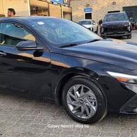 النترا • ٢٠٢٤ • رقم شهداء