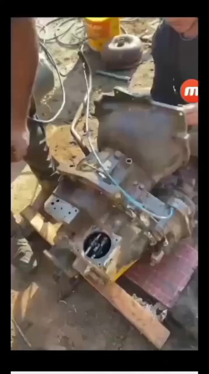 فيتر،***********
