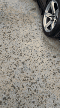 جارجر RT2018 مراوس بغير لون Rt او سكات
.او اوباما RT 

جارجر RT18 مراوس فقط 

حادث جاملغ خلفي2 

بدون دواخل بدون حوض 

بجم كبس راديتر. الشركة

جاهزة كن كلشي كير محرك تزويد 

شوترة kn 

كاج كان 

مواصفات فول عدا الفتحة

ويل 20 نجمة خسفة تايرات جدد 

ستيرن تدفائة باسمي هزة جديدة اصل 

  

تحياتي للجميع ***********
