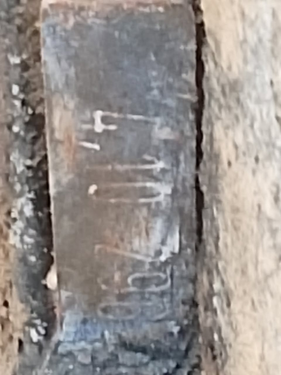 لام عليكم
700 مفتوح 30/35
اكسن 4بوينت 10
شلعة ورون ناصي ومشروط سعره 150 الف 
كاردن 700 مفتوح 75 الف 
زوج درايمات 700 مفتوح وياهن طبلاتهن كاملات 
هنه وطبلاتهن ب150 
بس درايمات ب80 الف 

الديوانية غماس 
***********
