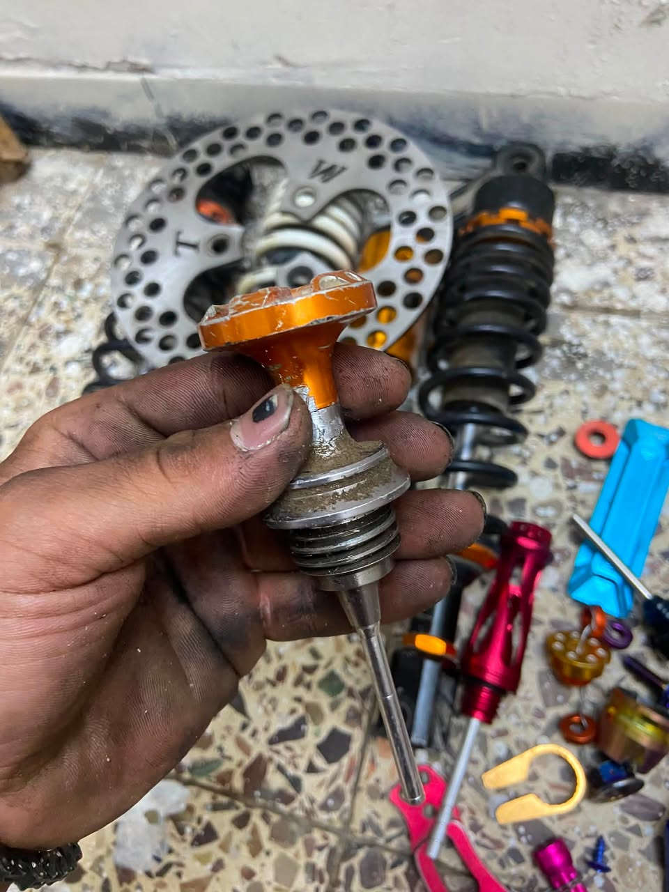 نواعم للبيع شتريد موجود كورات قباقه هندر مال جبلي مال ثعلب شيالات فشك مال ماكس فشك مال ثعلب شباب هواي غراض وكلمن وسعره والاسعار جوه السوك 
***********
مكاني غزاليه

