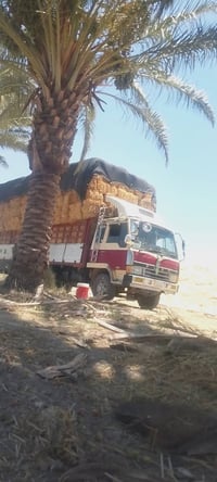 يوجد تبن كبس للبيع توصيل جميع المحافظات 07745219473