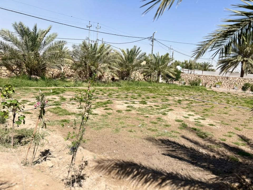 سلام عليكم دونم طابو زراعي سند 25 بسمي مداور ثاني يوم خدمات ماء اساله كهربلا خط مولده مدارس شارع تبليط عرضه 15 متر يبعد عن شارع العام السيدين 100 متر البيت بناء حديث مساحت البيت 310 متر يتكون من استقبال 18 متر وعرضه 5 +3 غرف طول الغرفه 7 متر وعرض 5 + صاله 15 متر وعرض 5 متر + مطبخ 7 متر وعرض 5 متر مجمع صحيات داخليات وخارجيات وكافت الخدمات ستفسار اتصل ع رقم *********** مكانه بابل قضاء الكفل قريب علا طريق ياحسين
