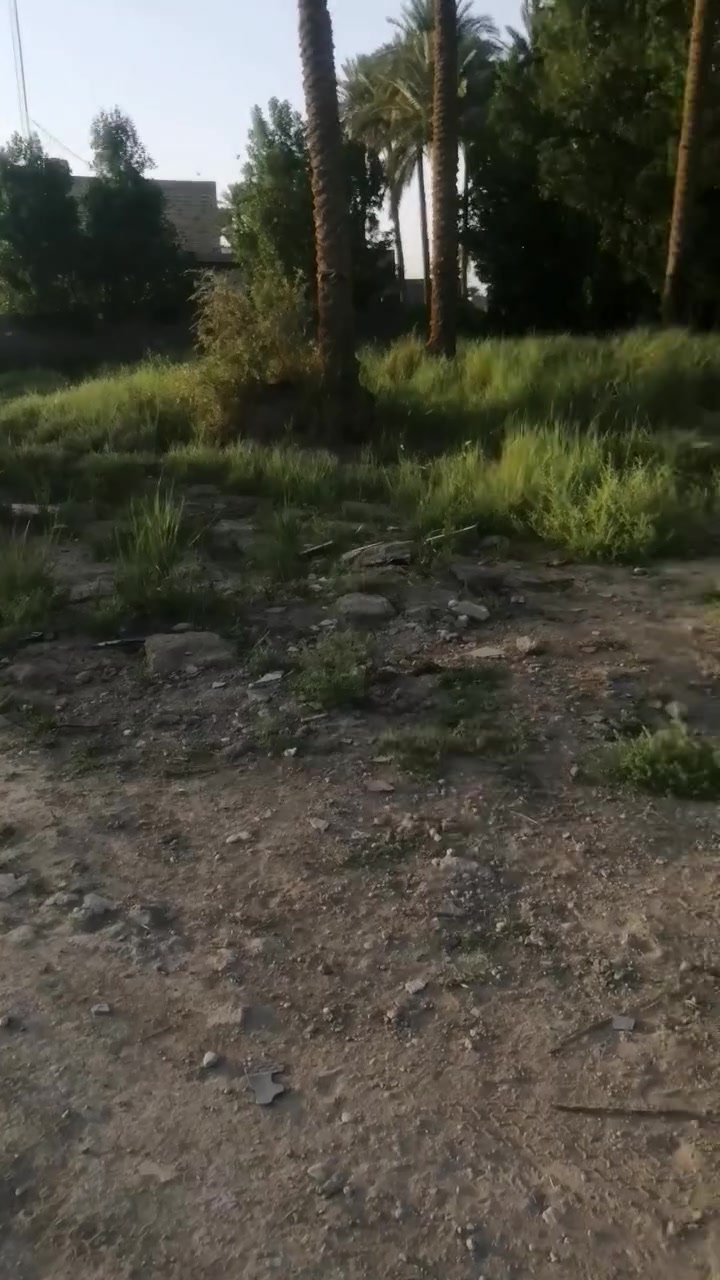 قطعه أرض للبيع طابو زراعي سند ٢٥ تحويل بأسم المشتري المساحه ٢٠٠متر واجهيه ١٠متر النزال ٢٠٠متر ورديه خارج قرب الاستاذ عباس معله مراجعة مكتب ابو نغم للعقارات سيف سعد قرب مستشفى الكفيل الجديد ***********
