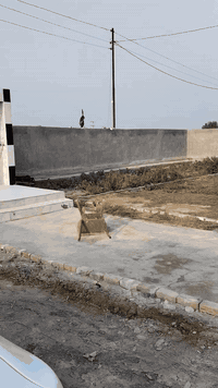 سلام عليكم بيوت لبيت كامل من كلشي كل بيت وياه حديقه مساحه دونم 2500 متر عل طريق العلويه شريفه بنت الحسن ع من جه ساده ابو خطه طابوا زراعي سند 25
للاستفسار الاتصال على الرقم *********** و***********
