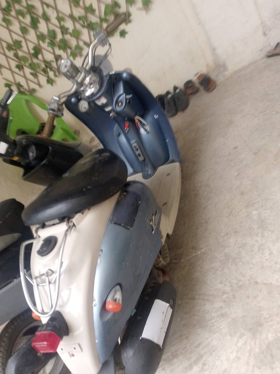 السلام عليكم بطه وعبد الحليم طافيات بس عطلهن بسيط ثنيناتهن ٣٠٠ وبيهن مجال الشراي 
مكاني بابل الاسكندريه الي يريدهن خل يتفضل خاص


**إذا كنت صاحب هذا الإعلان وتريد حذفه لأي سبب، رجاءا أرسل رسالة إلى الدعم الفني**