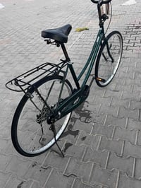 باسكل زيتوني • ياباني • موديل ٢٠١٦