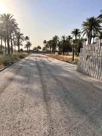 بل البوعيثه • ٥٠٠م • طابو