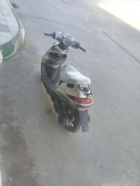 بطة • أوراق • كهربائيات